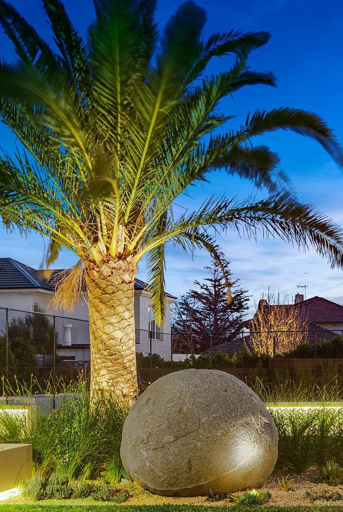 Landscaped garden with palm tree and large rock